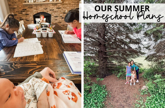 Our Summer Homeschool Plans