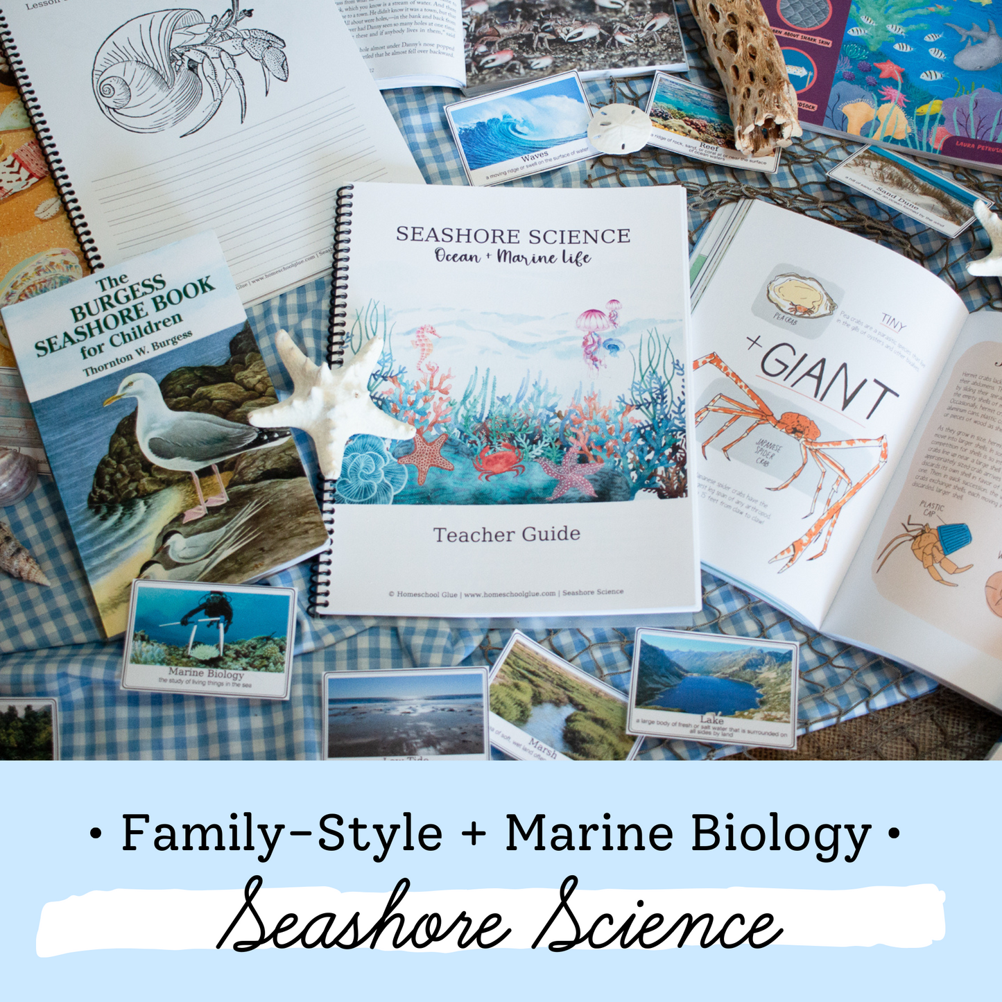 Seashore Science