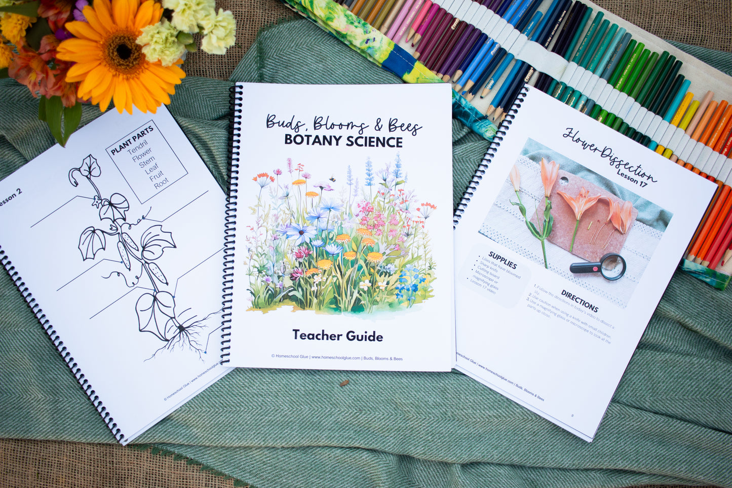 Buds, Blooms & Bees Botany Science