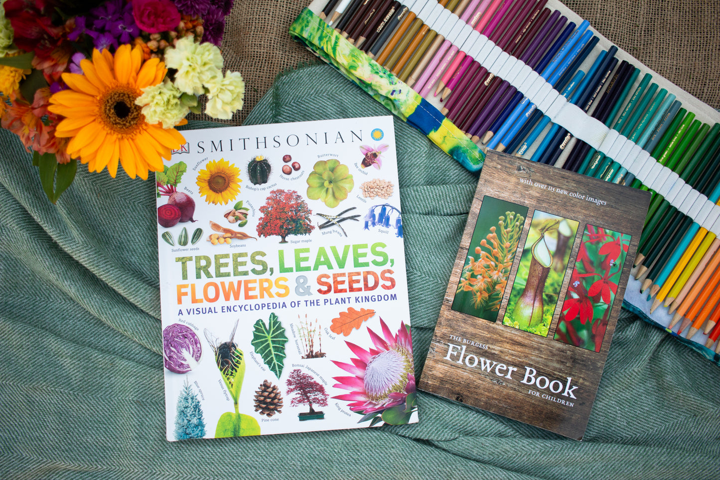 Buds, Blooms & Bees Botany Science