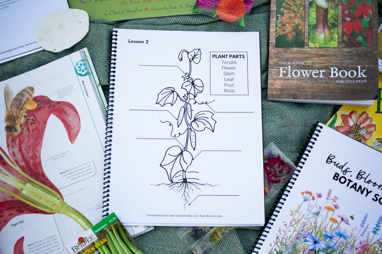 Buds, Blooms & Bees Botany Science