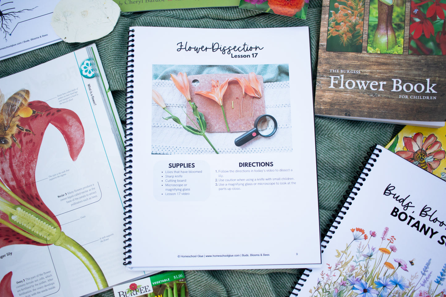 Buds, Blooms & Bees Botany Science