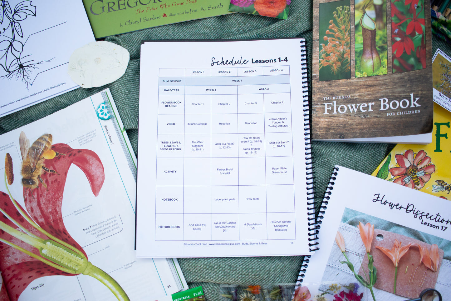 Buds, Blooms & Bees Botany Science