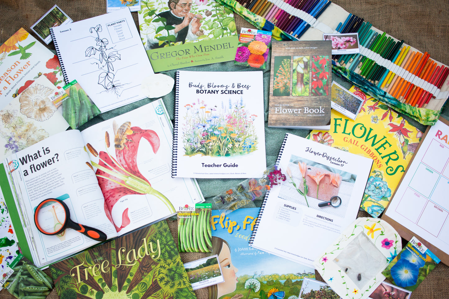 Buds, Blooms & Bees Botany Science