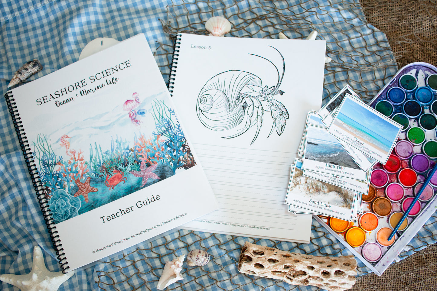 Seashore Science