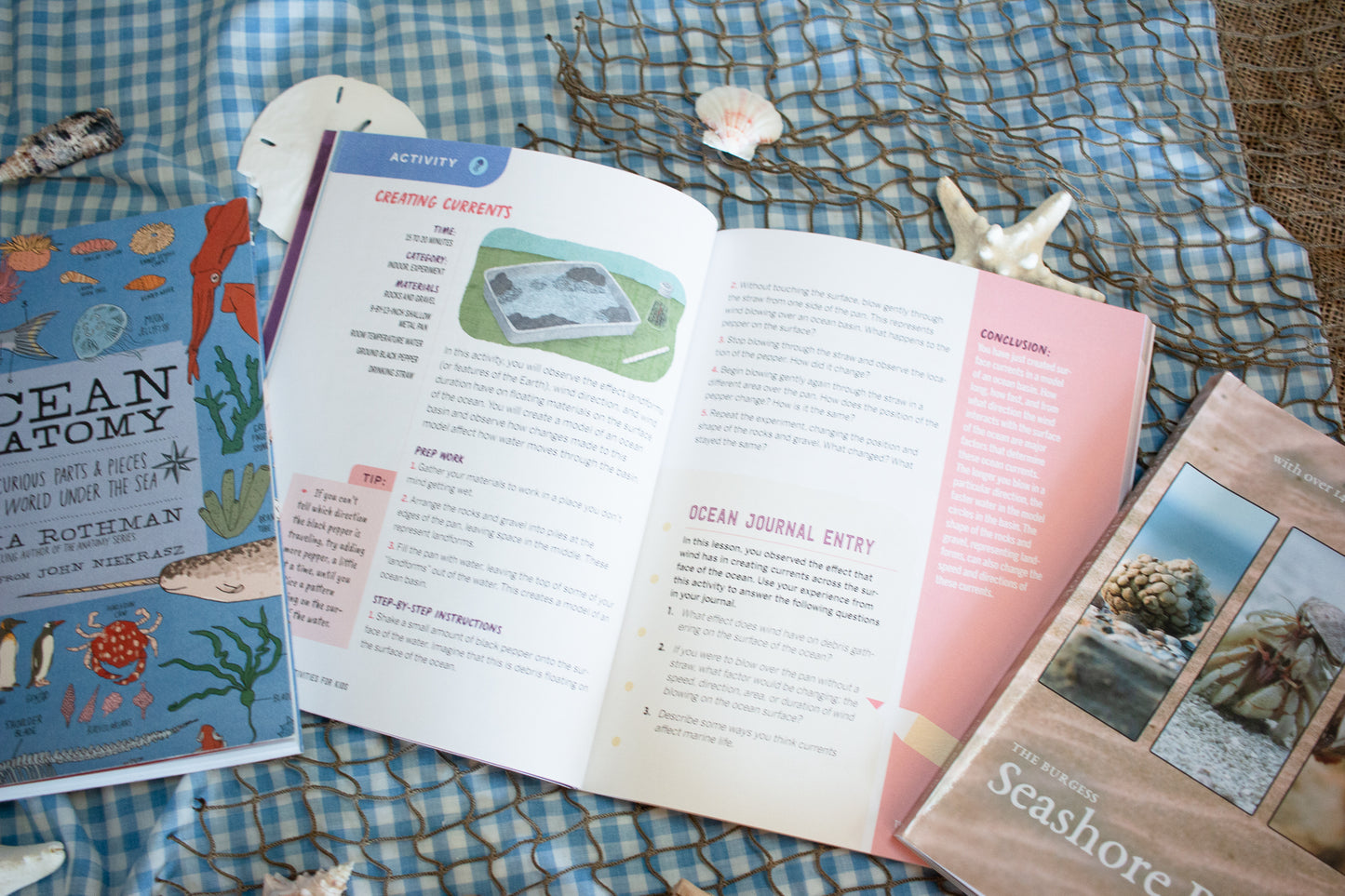 Seashore Science