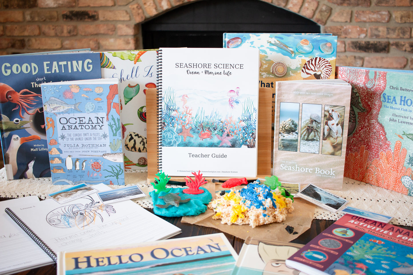 Seashore Science