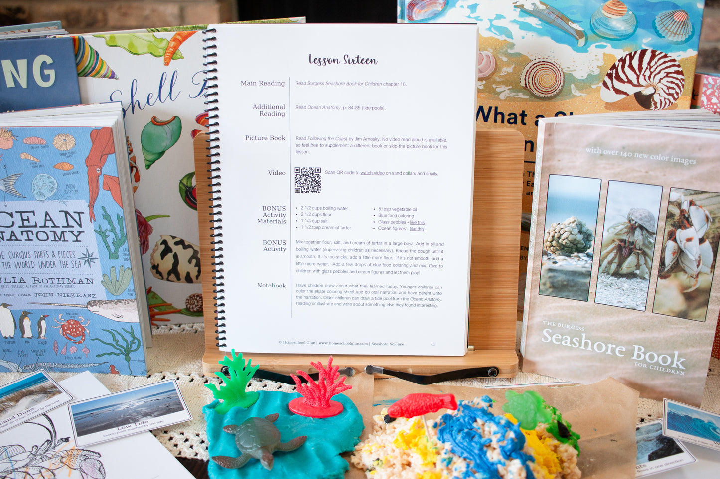 Seashore Science