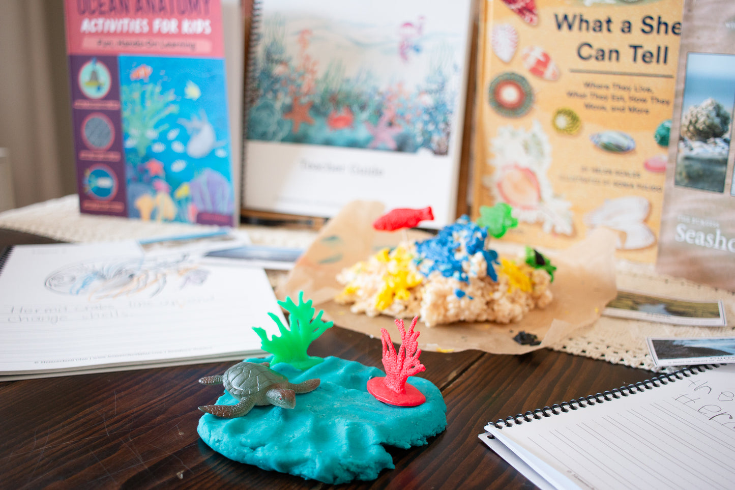 Seashore Science