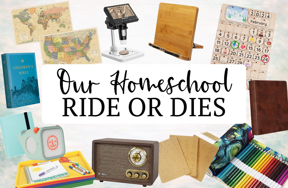 Our Homeschool Ride or Dies (AKA: Favorites)