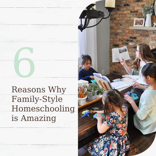 Why We Implement Family-Style Homeschooling Whenever We Can!