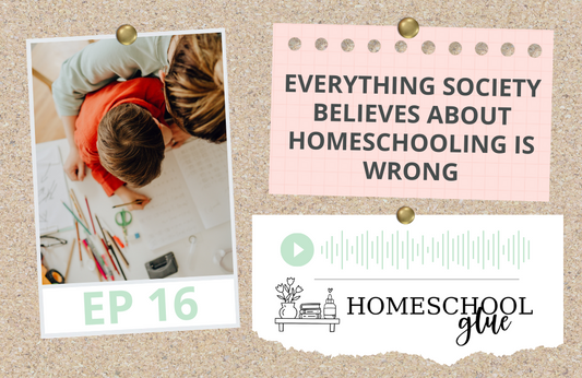 PODCAST: Everything Society Believes about Homeschooling is WRONG