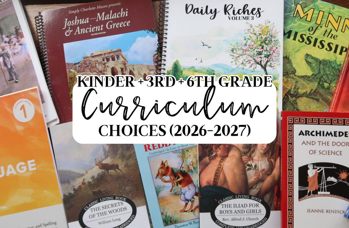 Our 2026-2027 Curriculum Picks: Kindergarten, 3rd Grade & 6th Grade (+ Toddler)