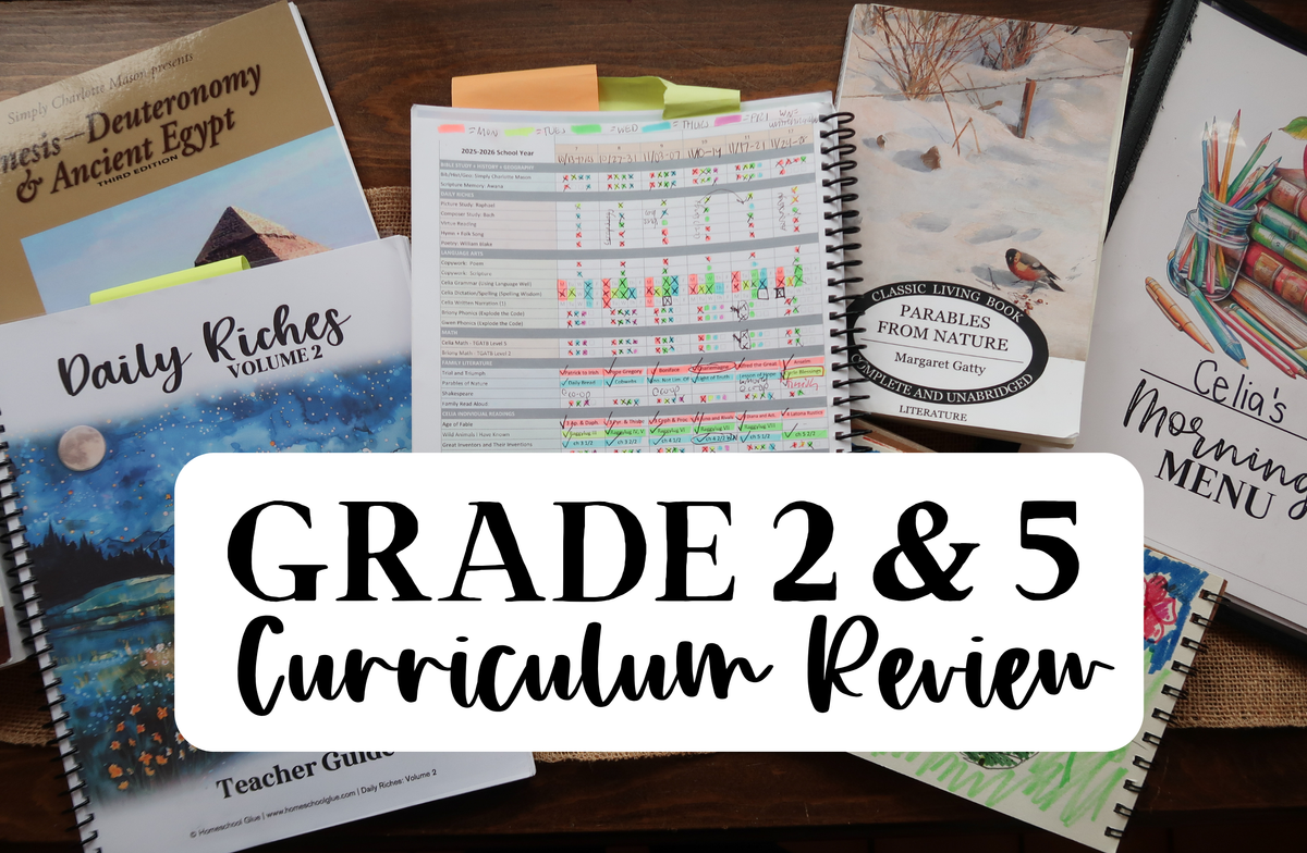 2nd + 5th Grade MIDYEAR Curriculum Review