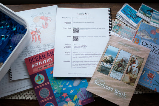 Look Inside a Lesson of Seashore Science!