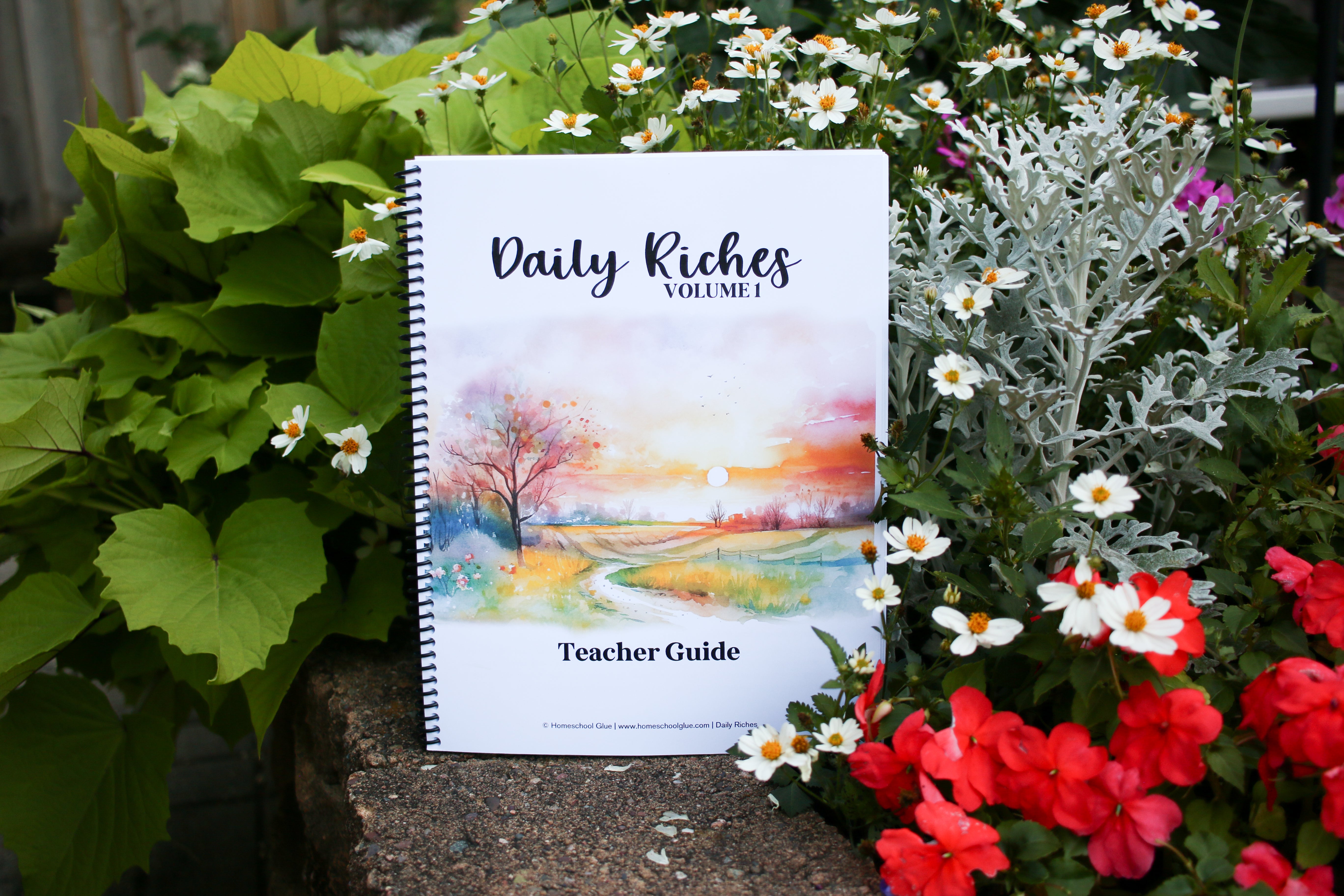 Daily Riches – Homeschool Glue