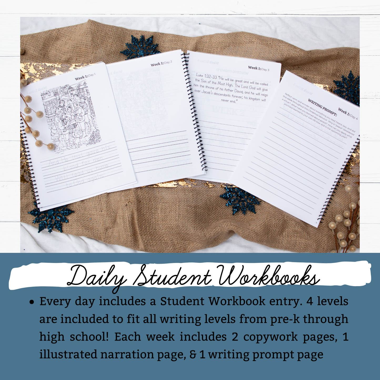 Wonders of His Love Christmas Study