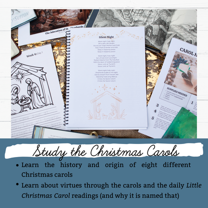 Wonders of His Love Christmas Study