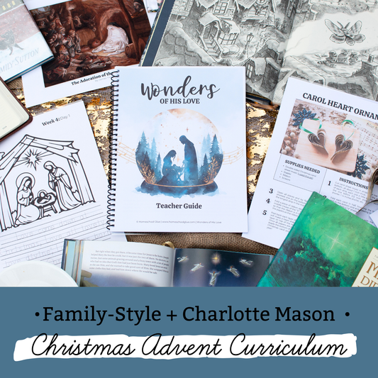 Wonders of His Love Christmas Study