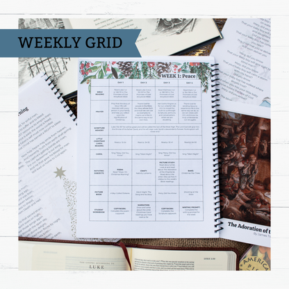 Wonders of His Love Christmas Study