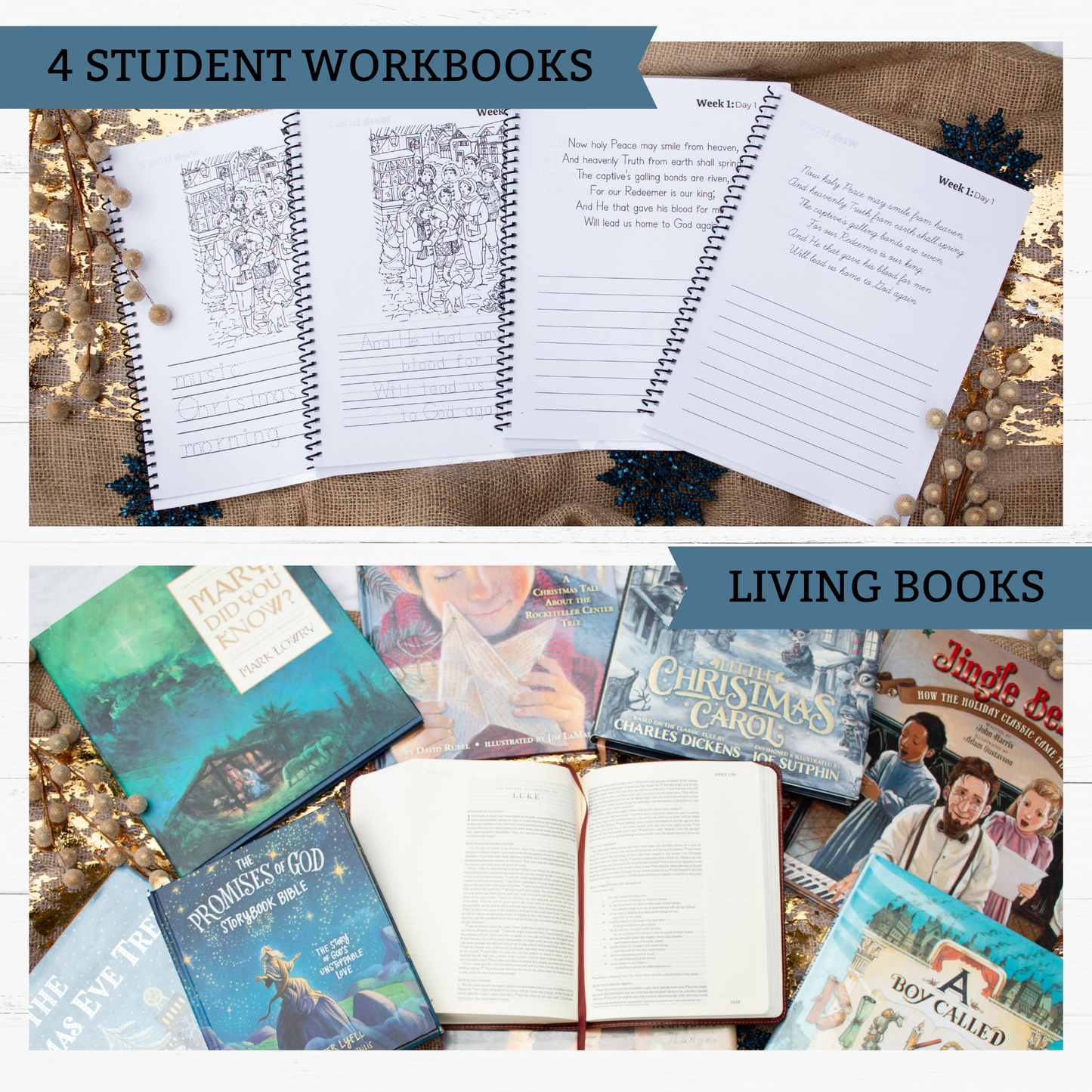 Wonders of His Love Christmas Study