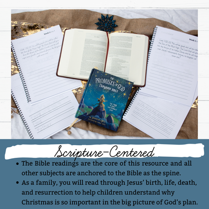 Wonders of His Love Christmas Study