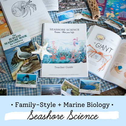 Seashore Science