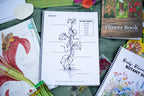 Buds, Blooms & Bees Botany Science