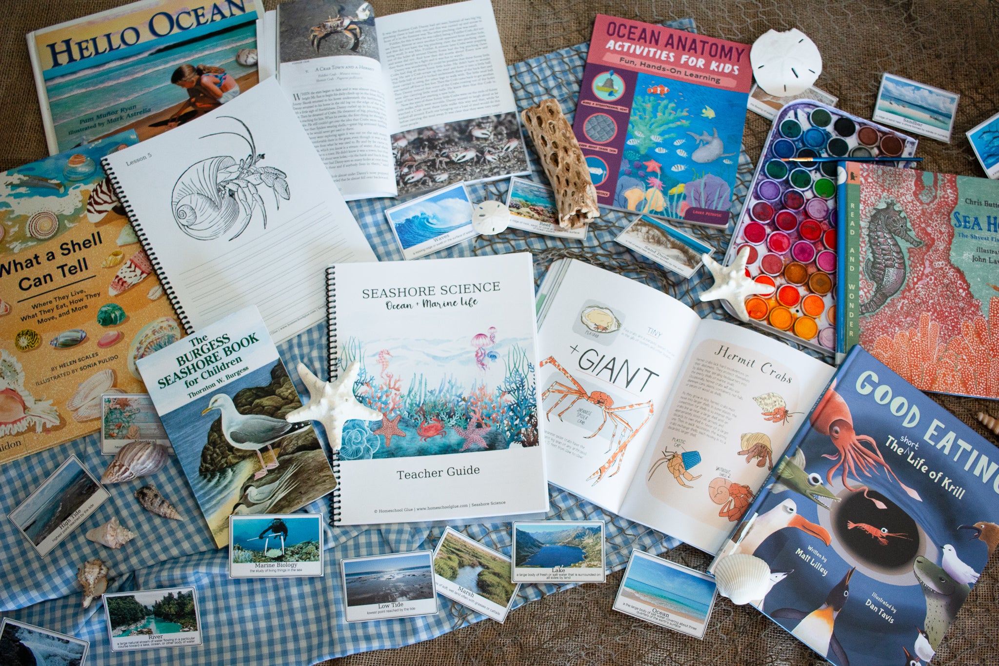 Seashore Science – Homeschool Glue